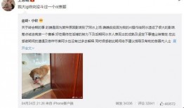 阿水亲自下场爆料视频,揭秘电竞圈不为人知的秘密